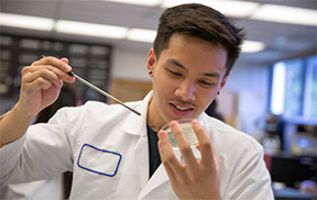 Find Your Degree Program