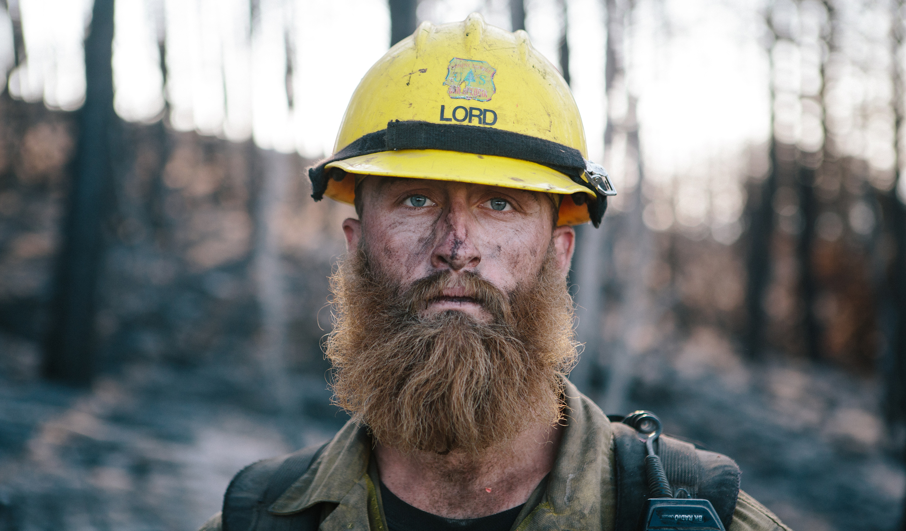 Understanding Fire Hero Image