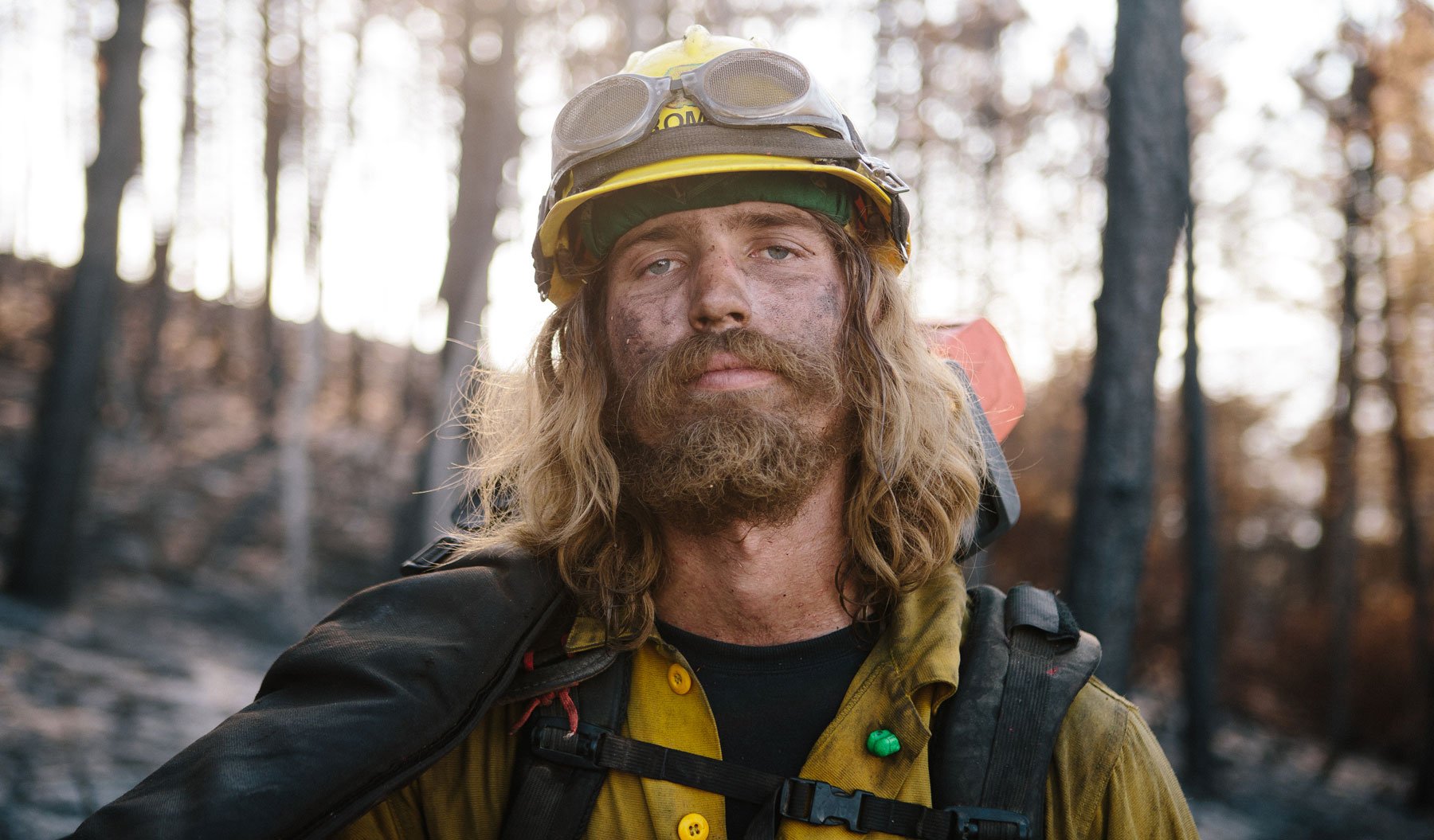 Understanding Fire Hero Image