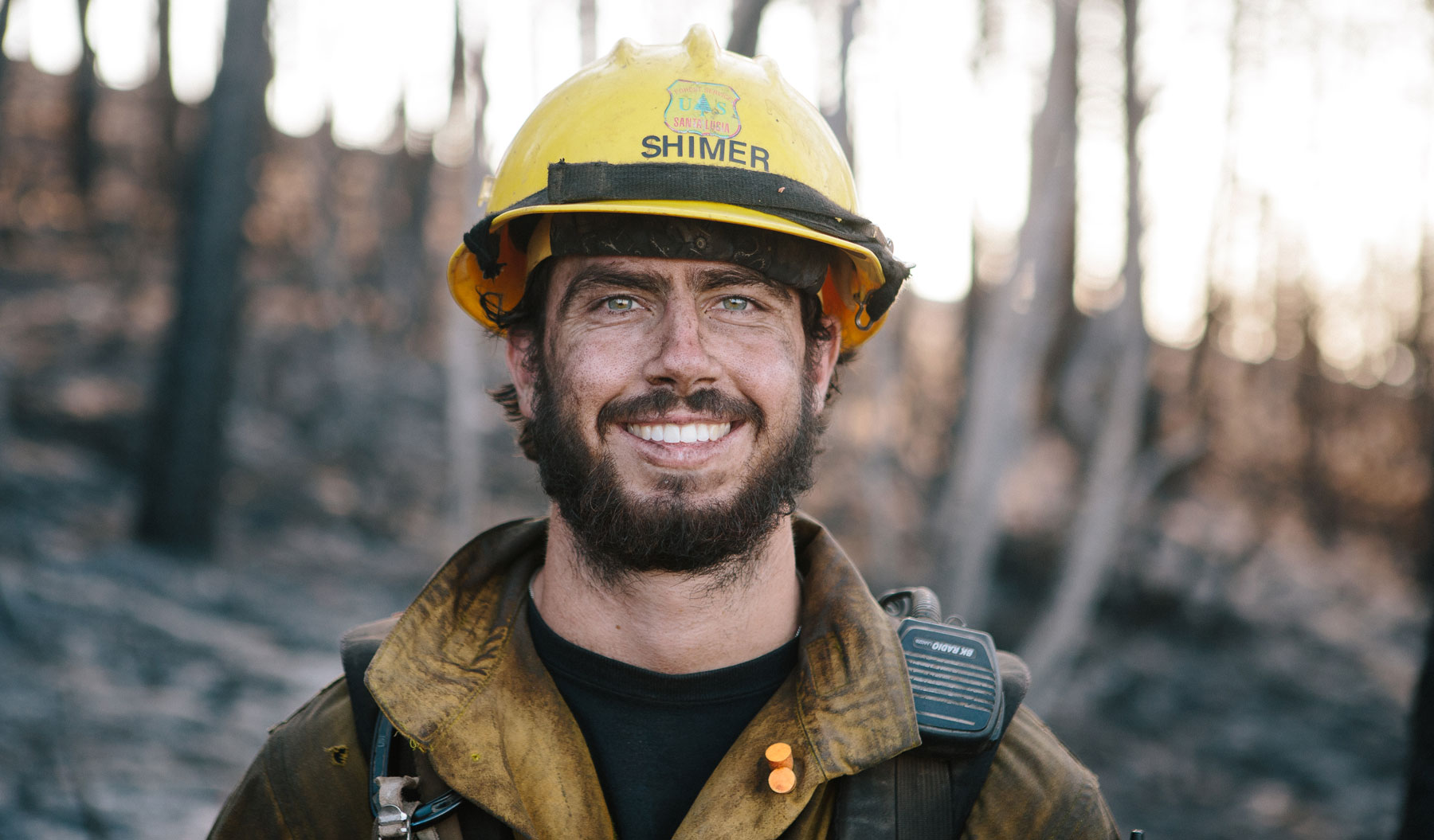Understanding Fire Hero Image