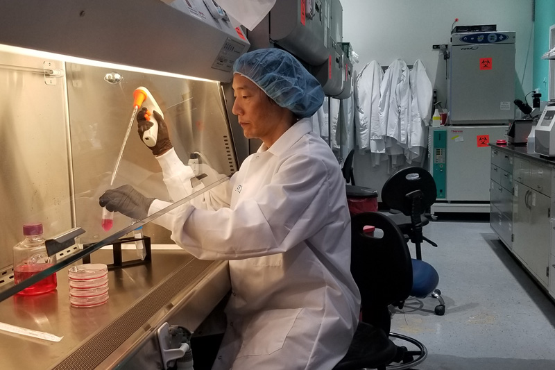 John Chi works in a lab.