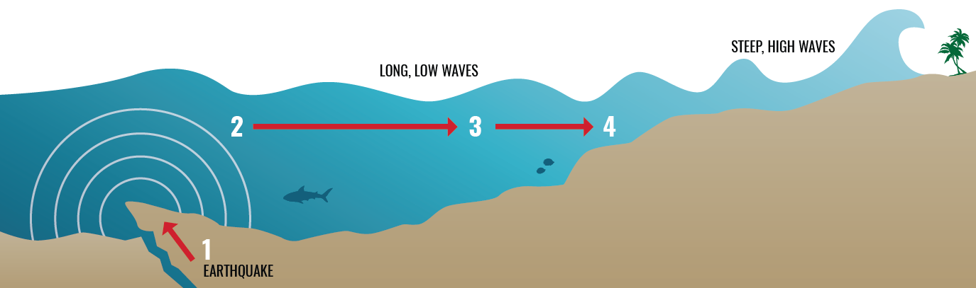 Tsunami Graphic