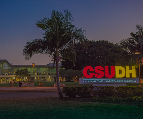 csu supplemental instruction