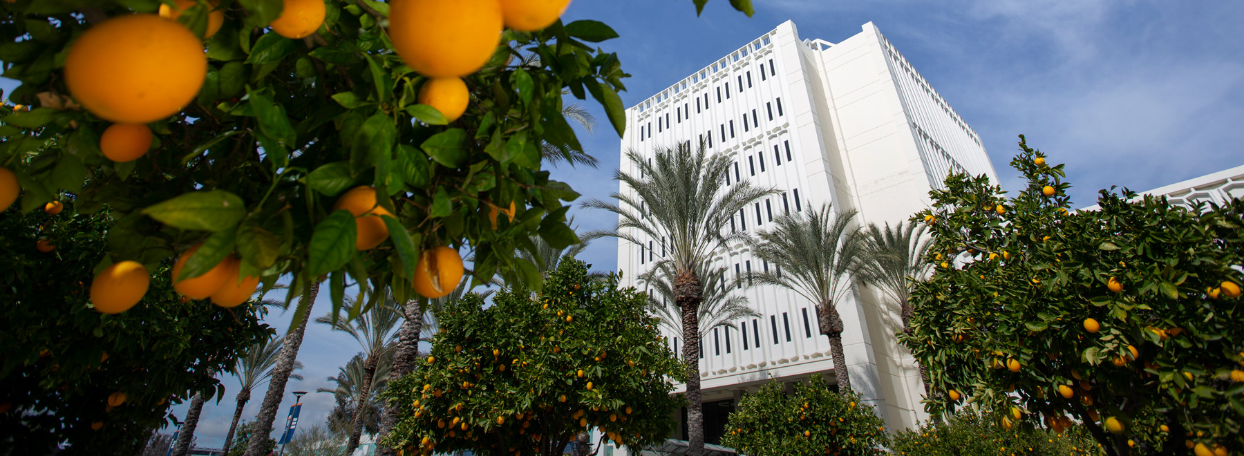 Cal State Fullerton