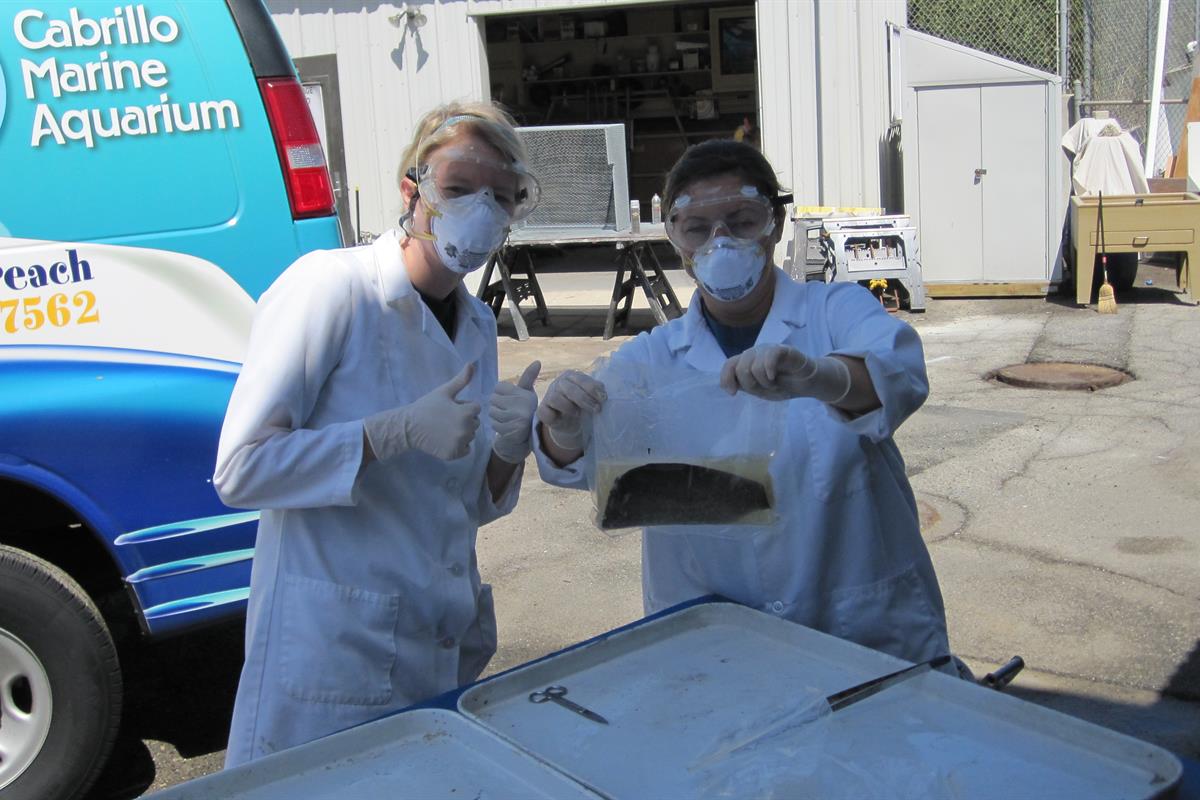 Three students in white lab coats and rubber gloves looking at jar 