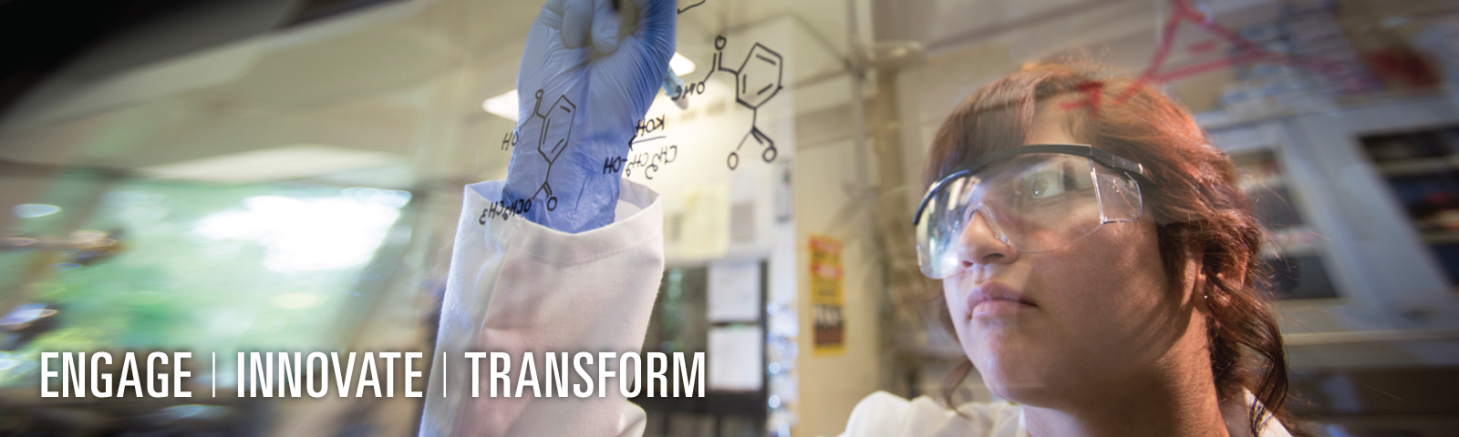 image to represent sacnas