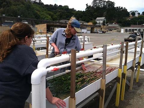 Marine Facilities