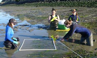 Marine Geo Students at SFSU