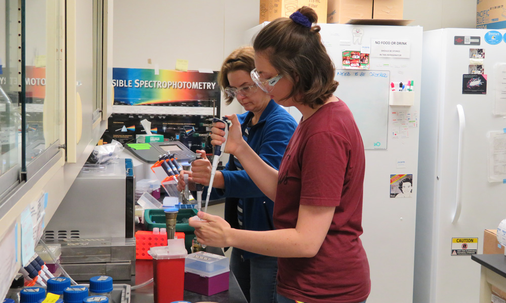 lab students working with research tools