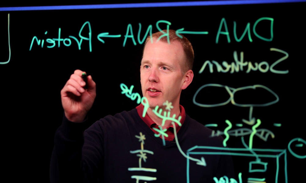 Dr. Ross draws diagrams of cellular processes that appear on the big screen