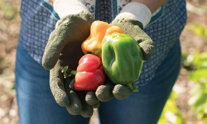 Frida holding vegetables