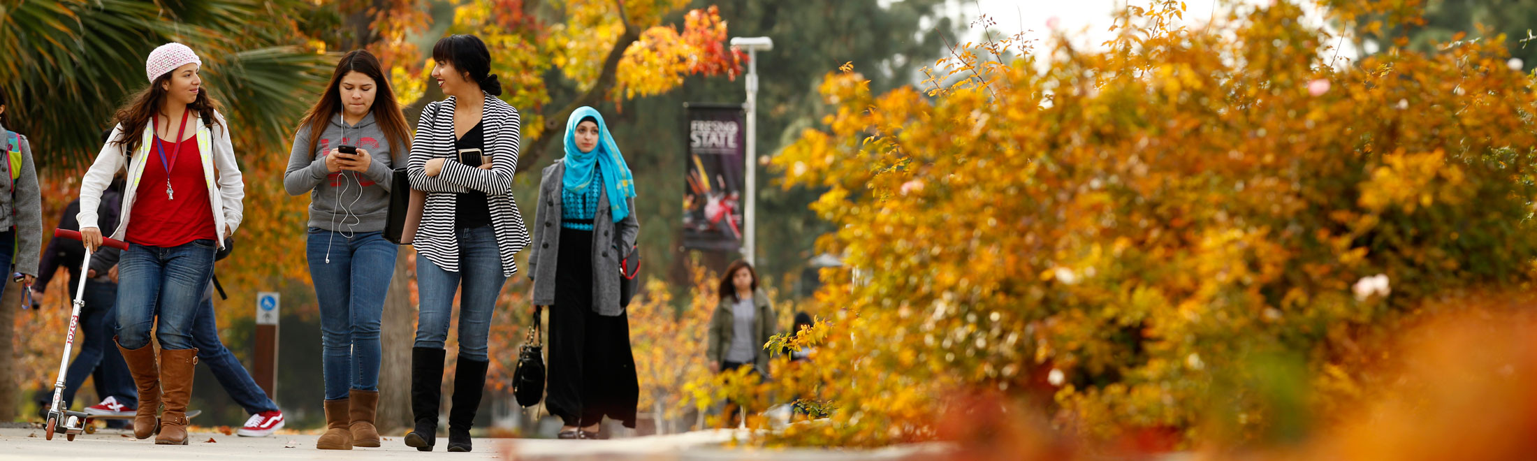 CSU Cares Banner